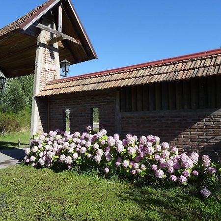 Cabanas Parque Salto Del Laja El Manzano  客房 照片